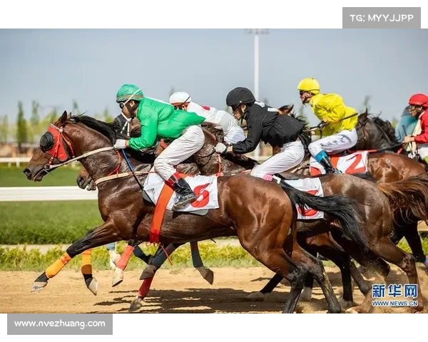 马术比赛精彩纷呈 骑士与骏马共谱速度与激情的完美篇章